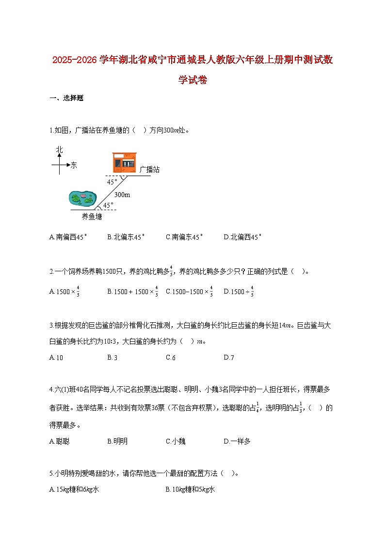 2025~2026学年湖北省咸宁市通城县人教版六年级上册期中数学试题（含答案）第1页