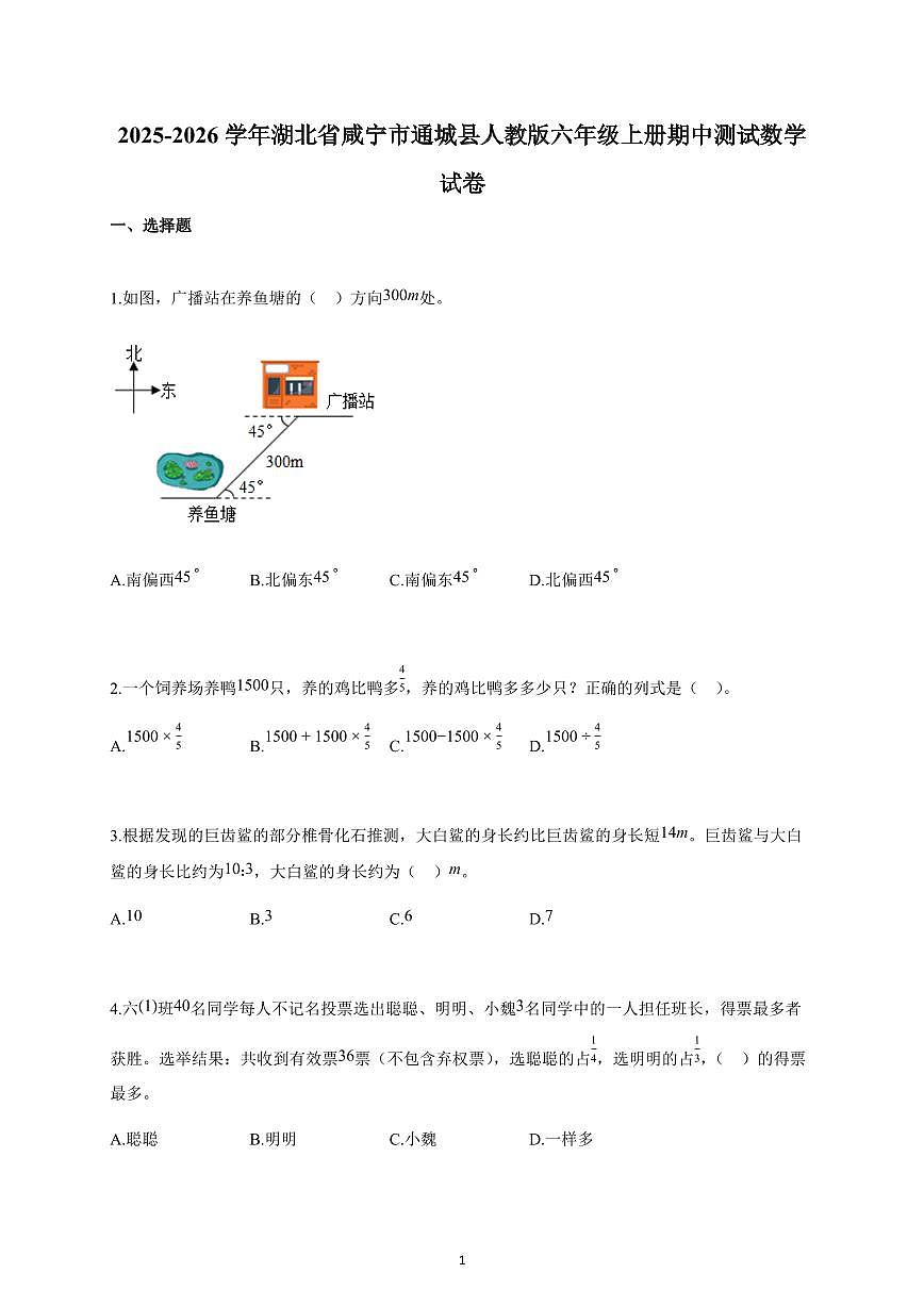 2025-2026学年湖北省咸宁市通城县人教版六年级上册期中数学试卷（含解析）第1页
