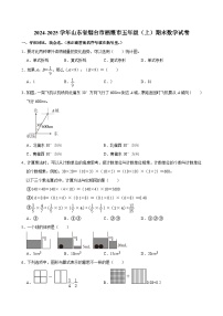 2024-2025学年山东省烟台市栖霞市五年级（上）期末数学试卷