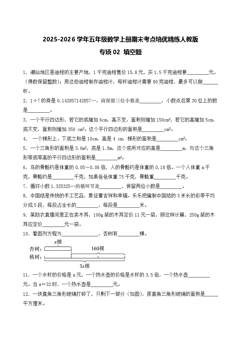 （期末考点）2025-2026学年五年级数学上册期末考点培优精练人教版专项02 填空题（含答案解析）第1页