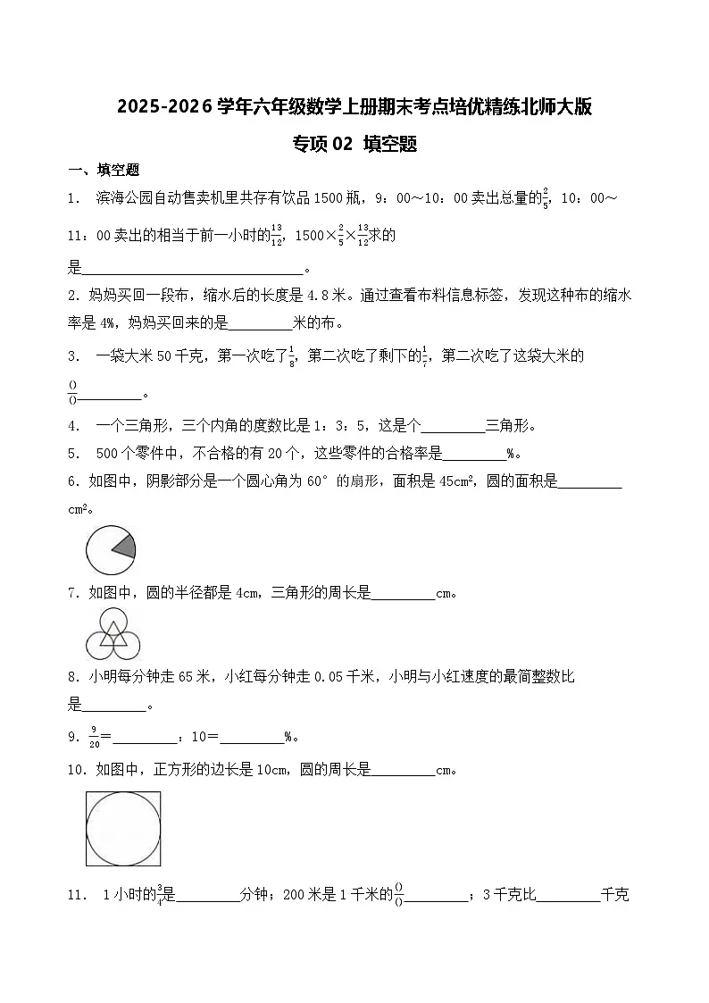 （期末考点）2025-2026学年六年级数学上册期末考点培优精练北师大版专项02 填空题（含答案解析）第1页