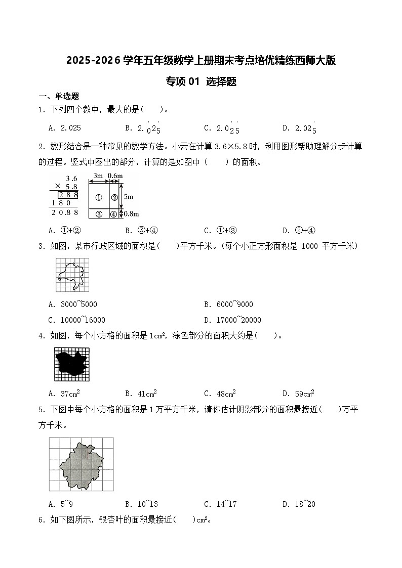 （期末考点）2025-2026学年五年级数学上册期末考点培优精练西师大版专项01 选择题（含答案解析）第1页