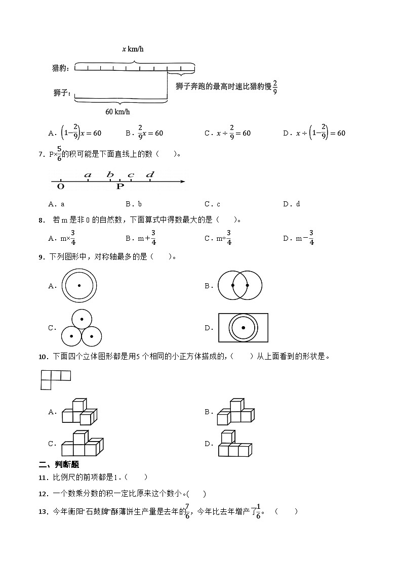 2025-2026学年六年级上学期苏教版数学期末练习一（含答案解析）第2页