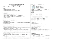 2025-2026学年三年级上学期数学期末卷青岛版（含答案解析）