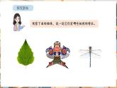 人教版（2024）数学三年级下册 1.1 认识轴对称图形（课件+教案）