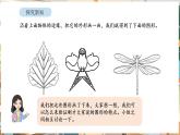 人教版（2024）数学三年级下册 1.1 认识轴对称图形（课件+教案）