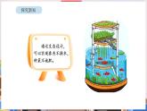 新北师大版（2024）数学二年级下册 6.1 鱼菜共生（课件）