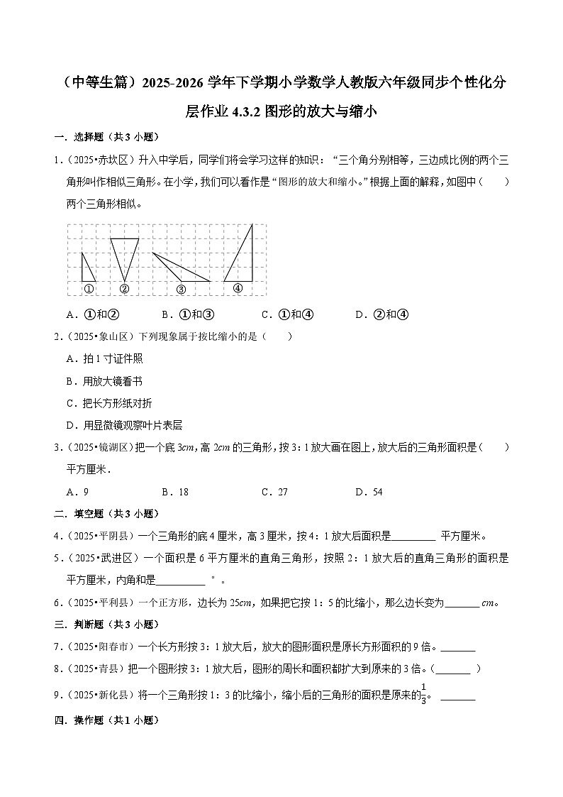 4.3.2图形的放大与缩小（练习 含解析-中等生）2025-2026学年小学数学六年级下册同步分层 人教版第1页