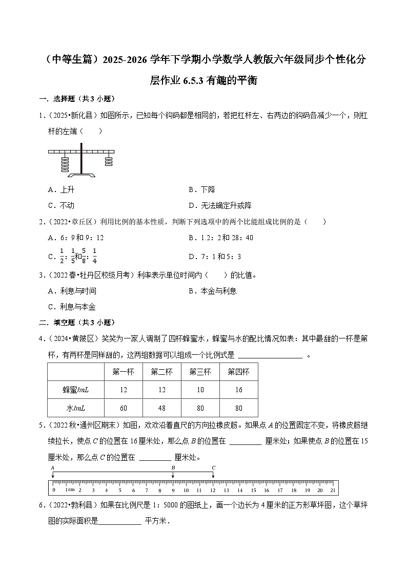 6.5.3有趣的平衡（练习 含解析-中等生）2025-2026学年小学数学六年级下册同步分层 人教版第1页