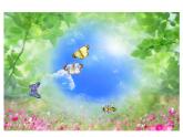 北師大小學數(shù)學二上《7.7花園》課件