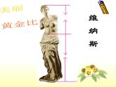 北师大小学数学六上《6.1 生活中的比》PPT课件