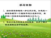 苏教版三年级下册数学《认识几分之一》课件PPT