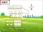 苏教版三年级下册数学《认识几分之一》课件PPT