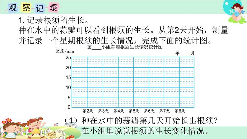 10.综合与实践：蒜叶的生长 课件04