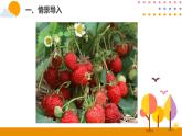6.1有余数的除法（1）ppt课件