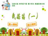 6.2栽蒜苗一 ppt课件 - 北师大数学四下