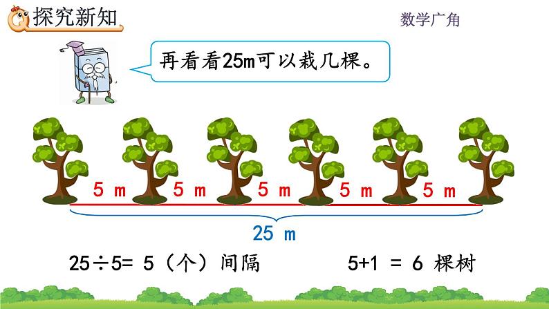 7.1 《两端都栽的植树问题》 课件06