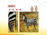 1.1 觀察同一物體 課件