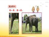1.1 觀察同一物體 課件