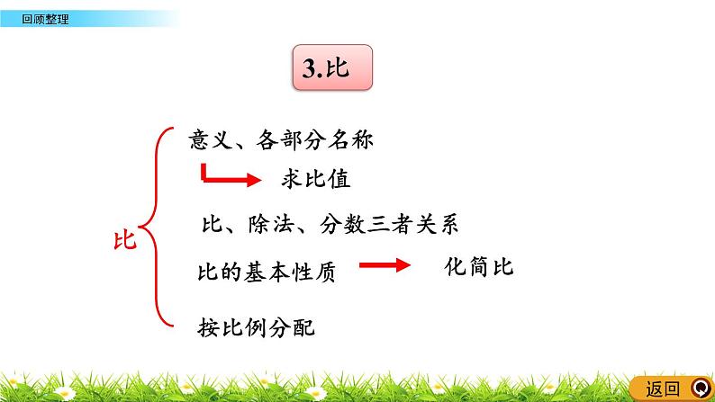 7.5 《人体的奥秘---比》回顾整理 课件05