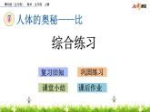 7.5 《人体的奥秘---比》综合练习 课件