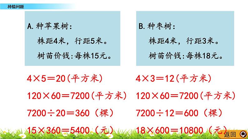 7.4 《种植问题》 课件06