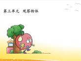 三.1《观察物体》课件