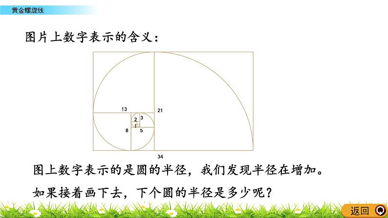 7.1 《 黄金螺旋线》PPT课件05