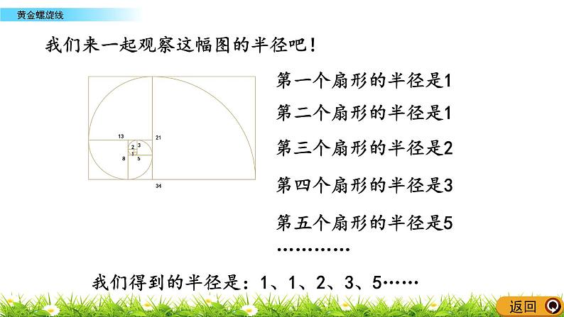 7.1 《 黄金螺旋线》PPT课件06