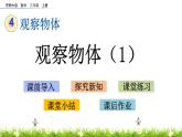 4.1 《觀察物體（1）》課件