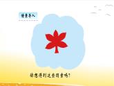 4.1  折一折，做一做  课件