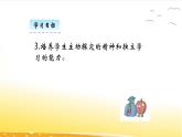 8.3  买球  课件