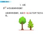 北京版数学一年级上册第十单元第3课时  《认识钟表、分类比较》课件