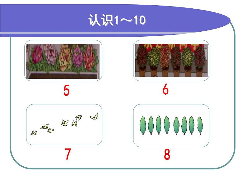 1.1《数一数》课件第7页