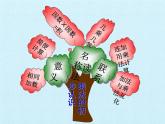 一年級下冊數(shù)學課件 七 看魔術(shù)——乘法的初步認識 復習課件 青島版（五四學制）