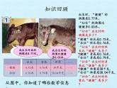 四年级上册数学课件 七、奇异的克隆牛——小数加减法 复习课件 青岛版（五四学制）