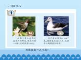 四年級上冊數(shù)學(xué)課件 五、動物世界——小數(shù)的意義和性質(zhì)（小數(shù)的意義和讀寫） 青島版（五四學(xué)制）