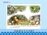 四年級上冊數(shù)學(xué)課件 五、動物世界——小數(shù)的意義和性質(zhì)  青島版（五四學(xué)制）