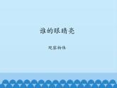 二年级上册数学课件 七 谁的眼睛亮 （观察物体） 青岛版（五四学制）