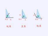 二年級上冊數(shù)學(xué)課件 十 過 年——總 復(fù) 習(xí) 青島版（五四學(xué)制）