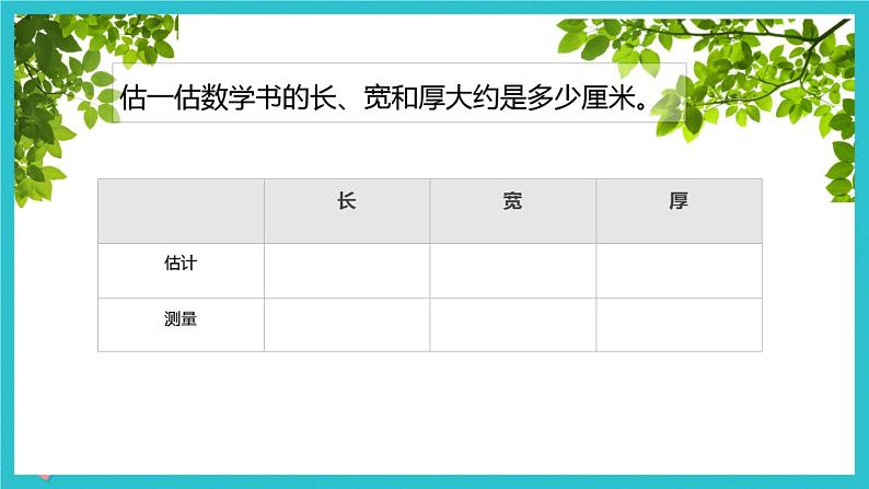 3.1《毫米、分米的认识》课件03