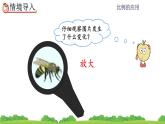 4.3.5《 图形的放大与缩小》精品课件