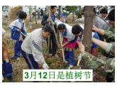 4.2 笔算除法—两位数除以一位数 课时2 教学课件 （含练习和答案）