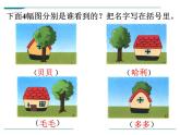 1.1《观察物体》PPT课件