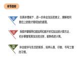 2.1《不进位加》PPT课件