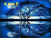 北师大版六年级下《欣赏与设计》公开课课件