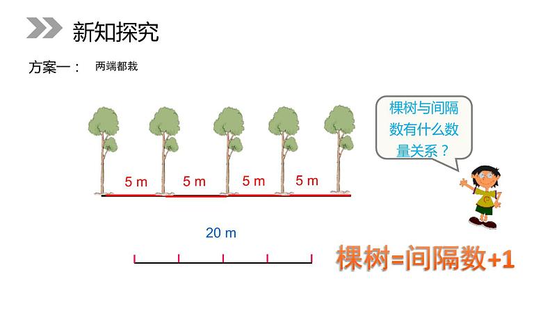 7.1.1 植树问题 课件第6页