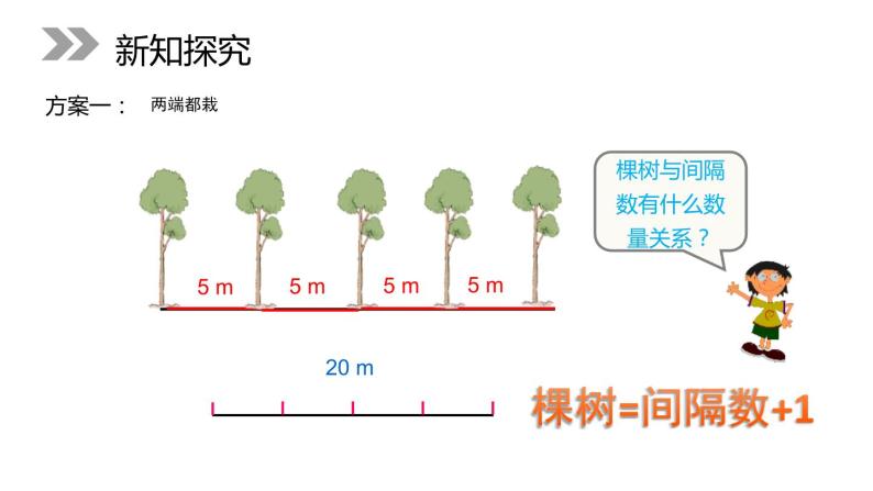 7.1.1 植树问题 课件06