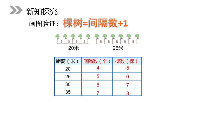 7.1.1 植树问题 课件第7页