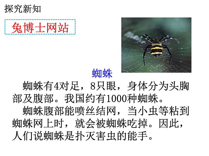 7.2《8的乘法口诀》PPT课件05